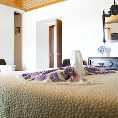 Urzelina Guesthouse ベッド・アンド・ブレックファスト Urzelina